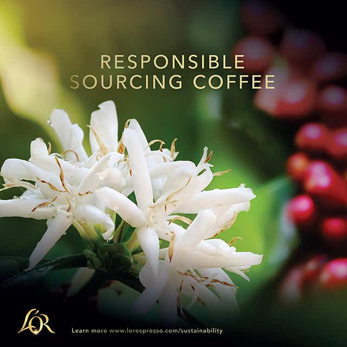 L'OR Espresso responsibly sourced