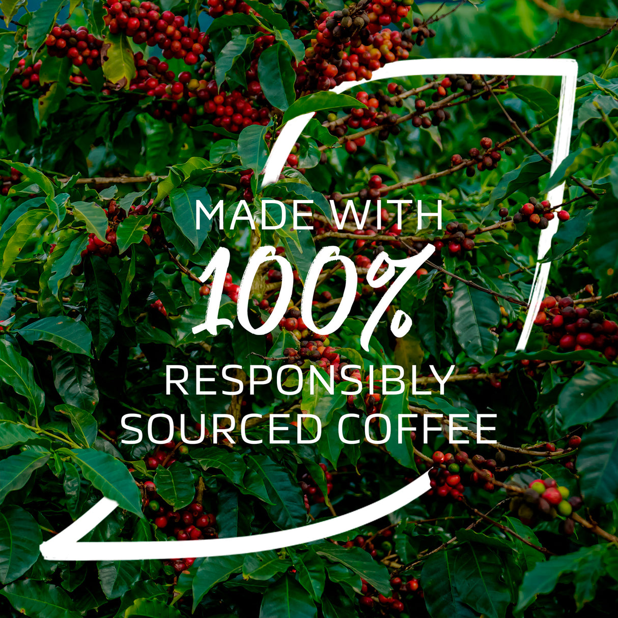 nescafe responsibly sourced coffee