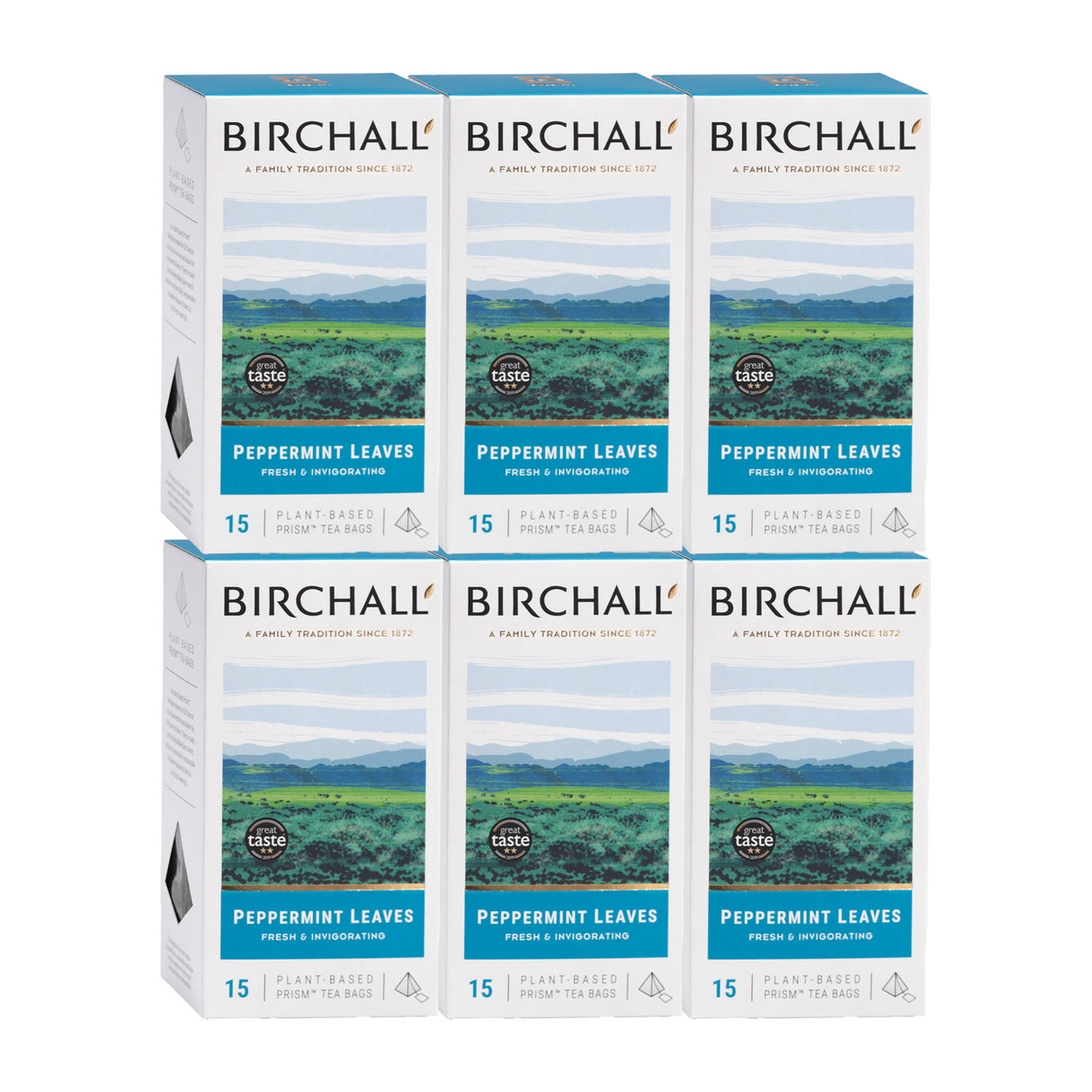 Birchall Peppermint Leaves Prism Tea Bags 6x15