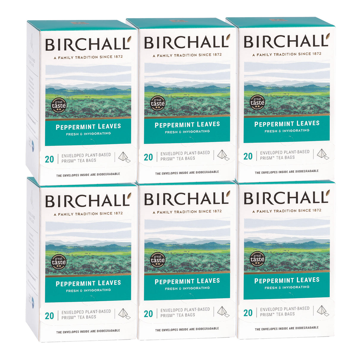 Birchall Peppermint Leaves Enveloped Prism Tea Bags 6x20